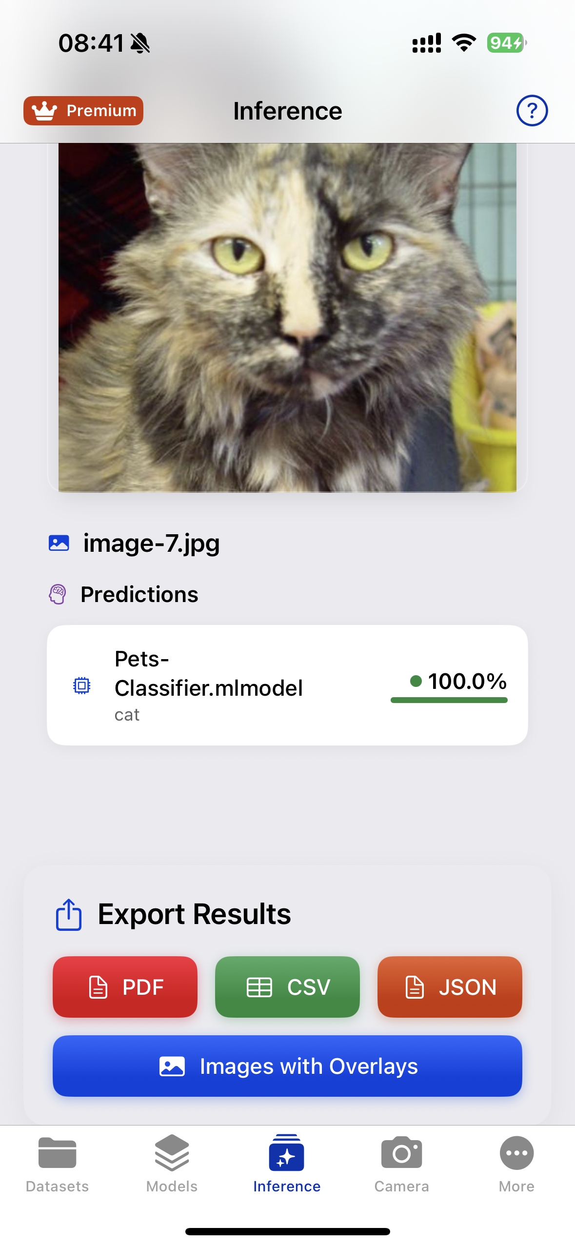 Batch classification results grid